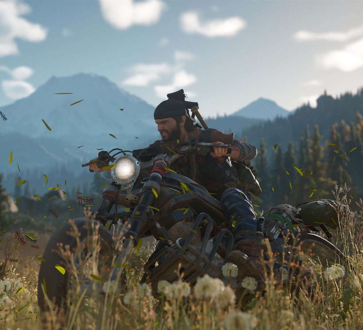 Days Gone